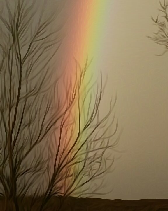 17332908_1413918535348328_7676384594190401536_n(1)